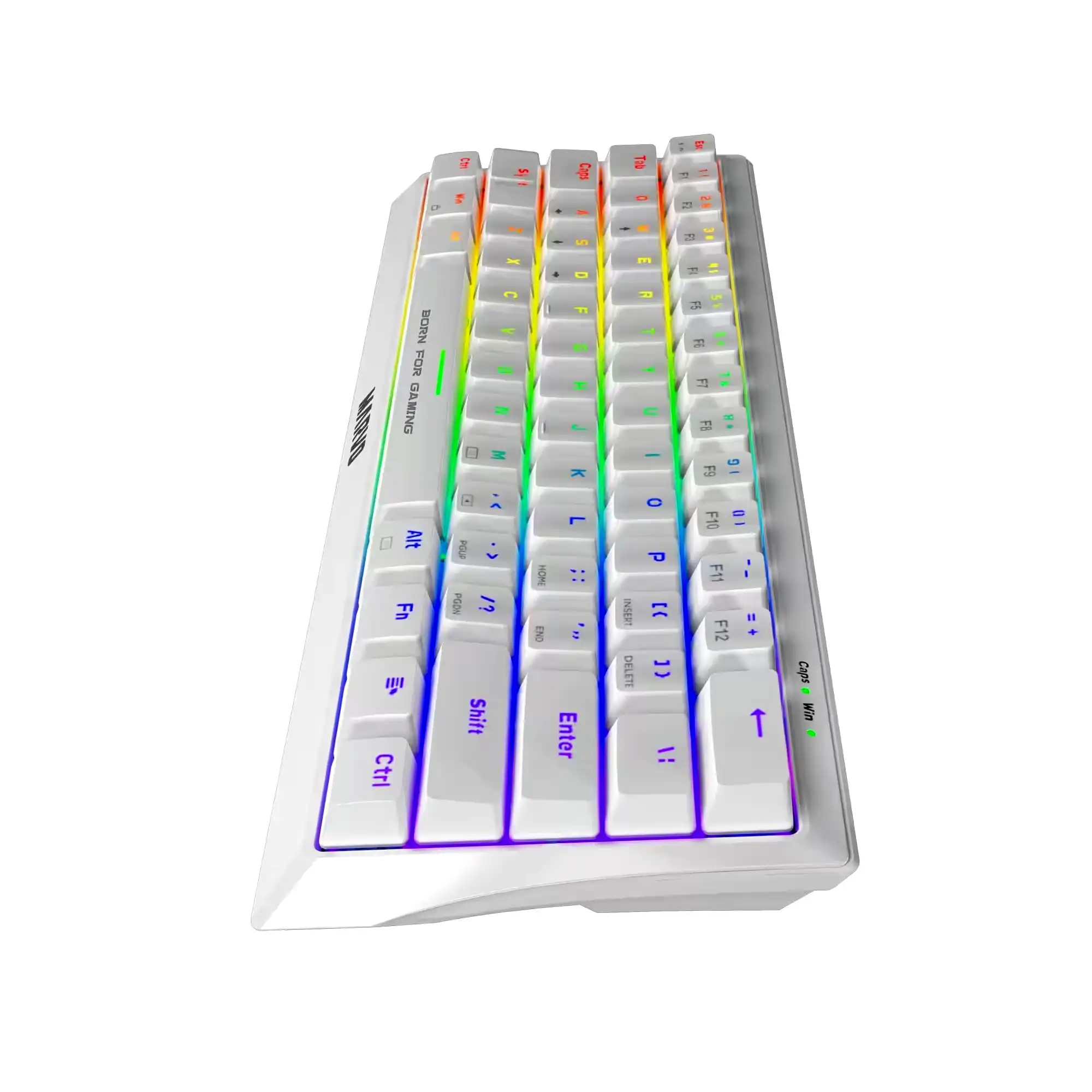 Additional Image 2: 3_1df9d92b-08a3-4d4a-a546-201bce66e839.webp