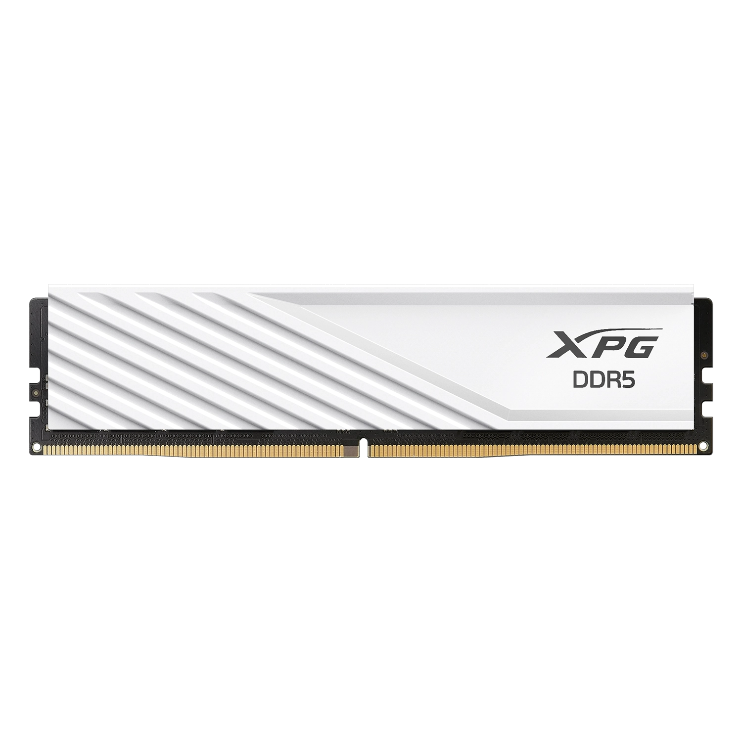 Memoria Pc Adata XPG 16GB DDR5 5600MHz CL46 Blanca